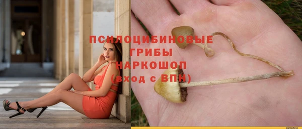 хмурый Покров