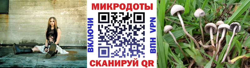 Галлюциногенные грибы ЛСД  как найти наркотики  Котово 